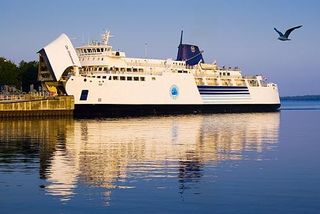 Island businesses should sue