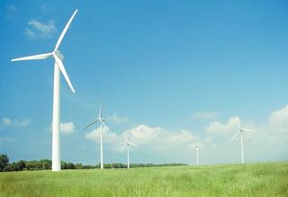 Riding stable owner applauds dentist’s wind farm stand