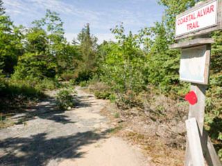 Misery Bay Provincial Park intern report shows park draws large number of visitors