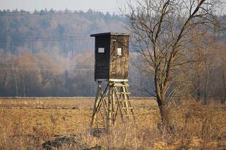 Ingersoll man fined $2,500 in provincial court on deer hunting charges