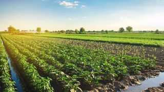 Soil and seeds are key to regenerative agriculture