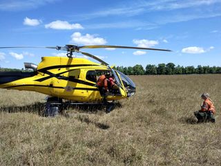 Employees with the Ministry of Natural Resources and Forestry fire crew were on the scene of a forest fire on Scott Road off
