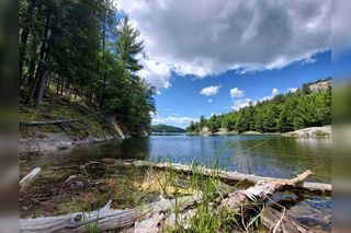 Escarpment Biosphere meets with mining company over Heaven’s Gate staked claim
