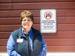 Signs at Island stores remind pet owners to keep dogs out of hot cars