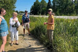 Phragmites Project reports banner 2025