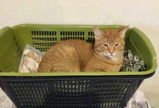 Jason is still looking for a home