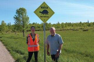 New Island organization dedicated to turtle survival