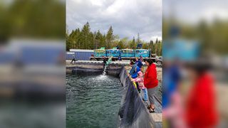 Sheshegwaning 91���˵��� installing fish net pens
