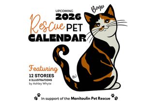 Rescue Pet Calendar will benefit critters in need