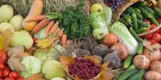 Sheguiandah Autumn Harvest fall fair returns