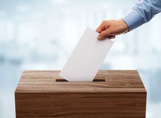 Sheshegwaning 91���˵��� goes to the polls on November 16