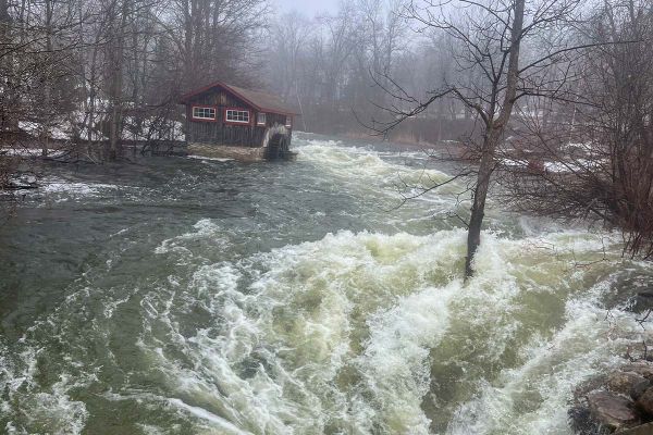 Jury still out on the total cost as weather remains unpredictable