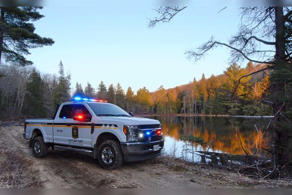 Individual Fined for Allowing Dogs to Run at Large in Areas Inhabited by White-Tailed Deer