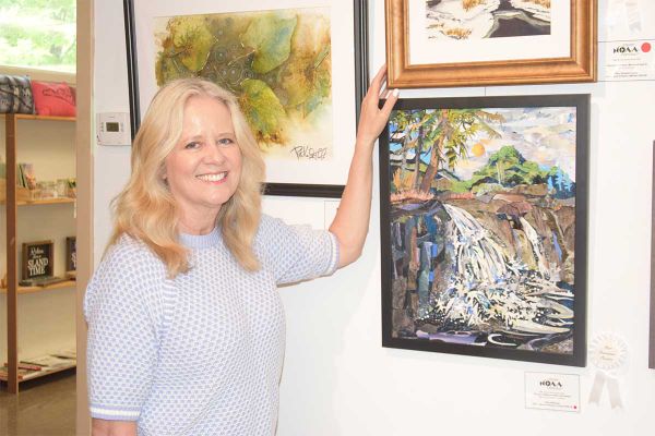 Northern Ontario artists showcase their best at Centennial Museum