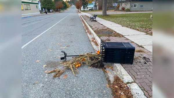 Increase in vandalism has Gore Bay mayor and council  considering security measures