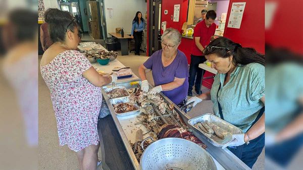 Pig roast celebrates workers, volunteers’ herculean efforts to prepare powwow grounds