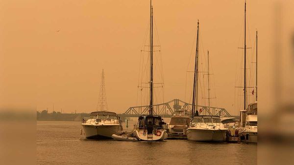 Your guide to this sepia summer weekend on Manitoulin Island