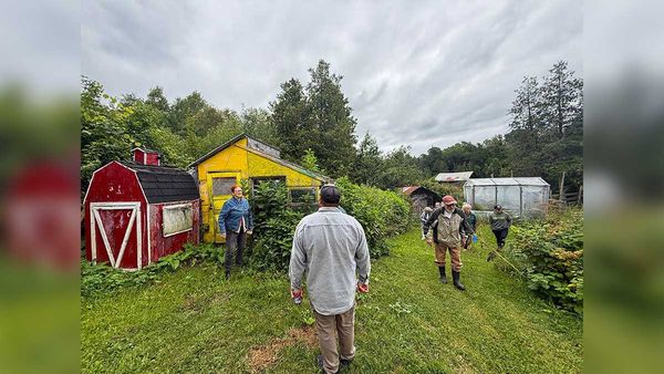 Farm tours offer Islanders a chance to connect and learn from local farmers