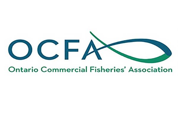 Ontario Commercial Fisheries Association not included in federal government’s $62.5M aid for fish and seafood sector