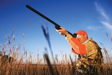 Federal Tories begin process of dismantling long-gun registry