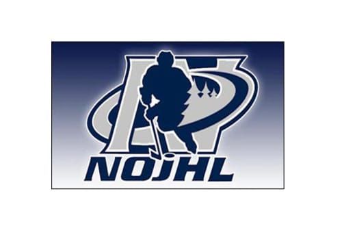 Northern Junior Hockey League and Sudbury MP tackle concussion concern at regional, national levels