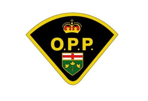Manitoulin OPP investigate report of gun shots
