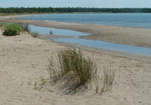 All Central Manitoulin Municipal Beaches will be open May 29th
