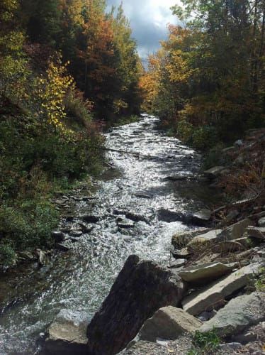 Kagawong woman takes first place in Story Trail contest