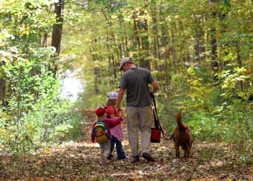 Burpee Mills objects to tax free parkland
