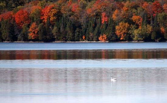 Billings to meet with hydro generation station company  on low lake level concerns