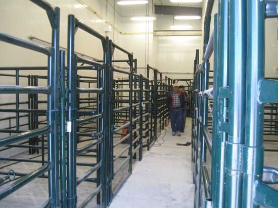 Members, stakeholders get sneak peek at abattoir