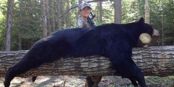 Record confirmed for black bear harvested in Silver Water area