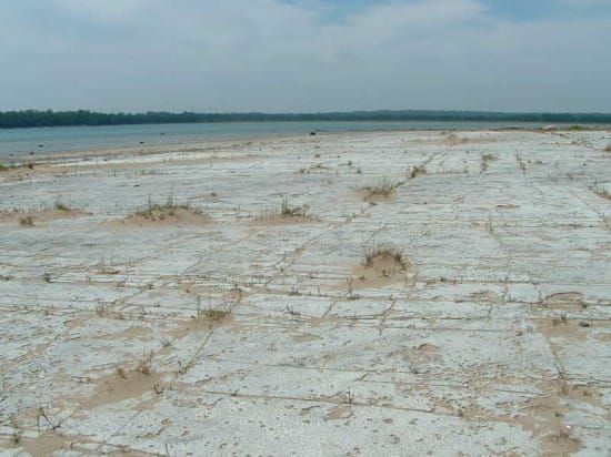 The rare alvars of Manitoulin are worthy of conservation