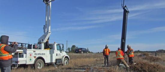 Jury still out on deer detection systems