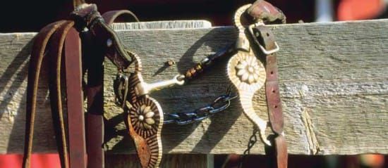 Manitoulin rodeo seeks participants