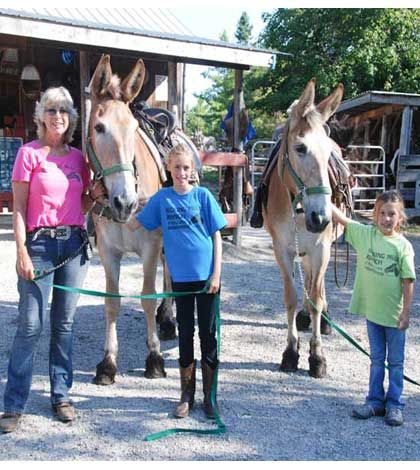 Typical mule style, slow but sure sisters home after 22 years
