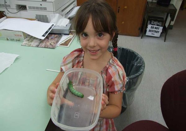 Dr. Shorthouse sets caterpiller record straight