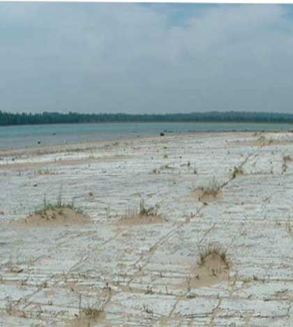 Final decision made concerning Manitoulin park designations