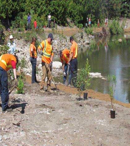 Lakeview students partner with  Manitoulin Streams on creek project
