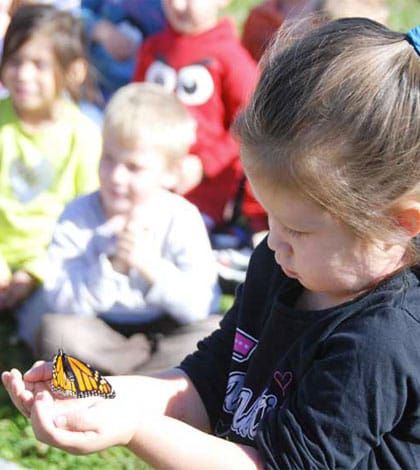 Butterfly school – LCPS Kindergarteners rear and free monarchs