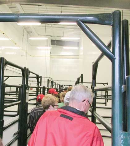 Board announces major change in management at Island abattoir