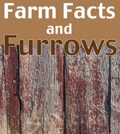Farm Facts And Furrows Nov 27