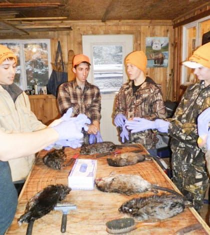 Trapping course to be offered next month  in Manitowaning