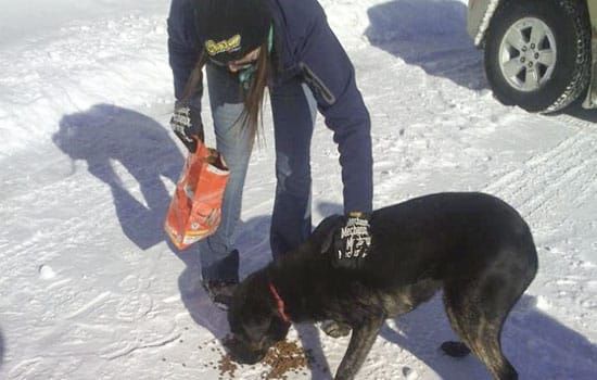 Wiky Grade 7s initiate band- PetSave union for dog rescues