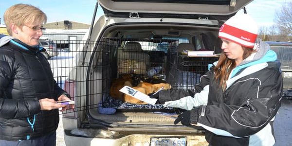PetSave recovers another 38 dogs from Wikwemikong