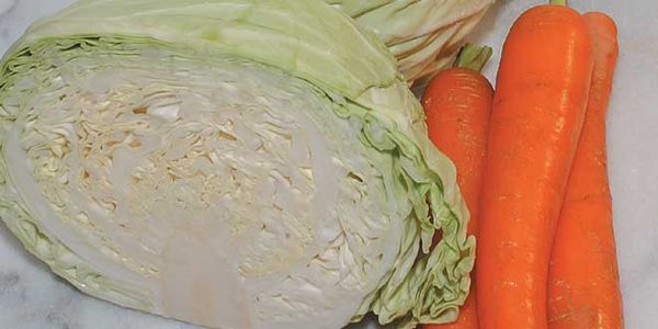 Cabbage, Carrot Slaw with Cranberries, Mint and Honey