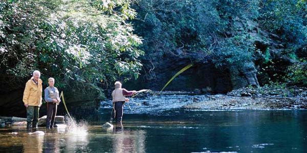 Anglers, hunters support proposed legislation for invasive species eradication