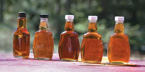 Research suggests that maple syrup may stave off some forms of dementia by protecting brain cells