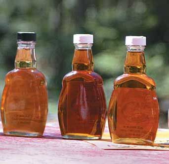 56th Annual Maple Syrup Festival at RCL Branch 374 on St. Joseph Island