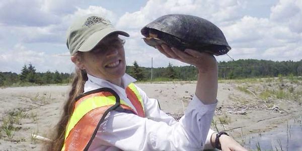 Investigation into the deaths of turtles at Misery Bay ongoing
